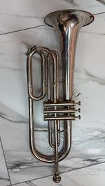 flicorno baritono (o bombardino/eufonio