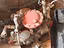Immagine 7