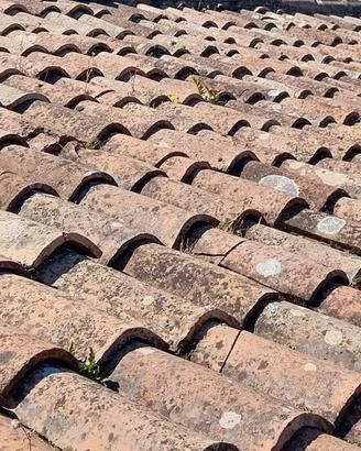 coppi antichi per tetto