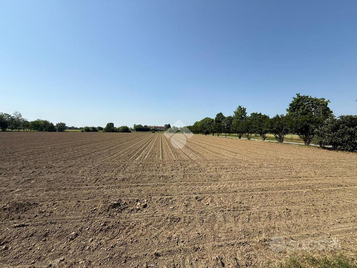 TER. AGRICOLO A MIRANO - Altro