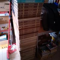 Lotto di 160 volumi di classici francesi casini 