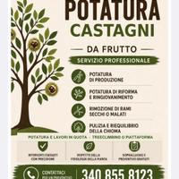 Lavori di giardinaggio e potatura
