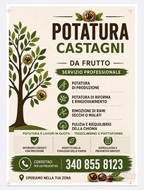 Lavori di giardinaggio e potatura