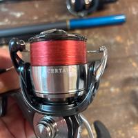 Daiwa certate lt 3000 ch