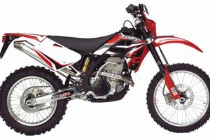 TELAIO TARGATO GAS GAS FSE 450 2006 2007 2008