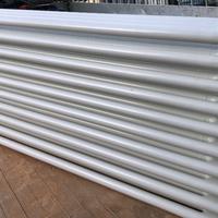 Termosifone verticale tubolare in acciacio