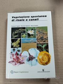 vegetazione spontanea di risaie e canali