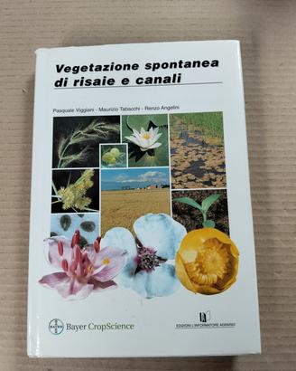 vegetazione spontanea di risaie e canali