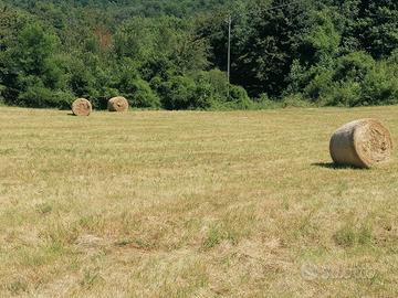 Balloni/Rotoballe di fieno