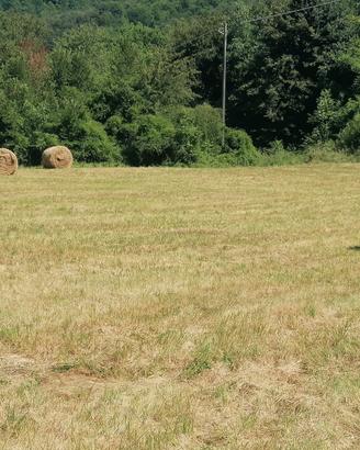 Balloni/Rotoballe di fieno