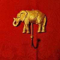 Appendino elefante