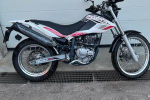 Beta alp 4.0