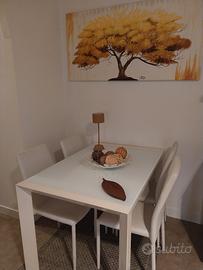 Tavolo bianco con 4 sedie