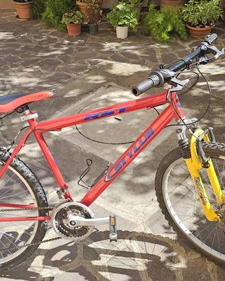 Bici MTB “RST Stylus”
