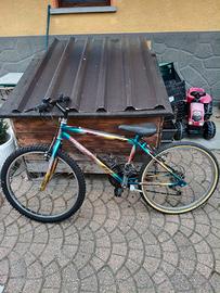 Bicicletta MTB 24 pollici