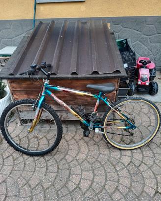 Bicicletta MTB 24 pollici
