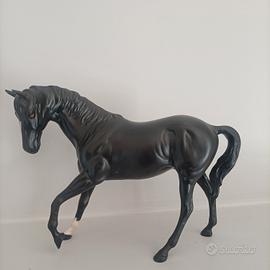 Cavallo porcellana 