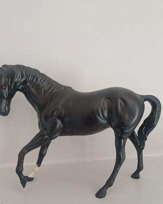 Cavallo porcellana 