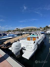 BENETEAU FLYER 850 - MERCURY 350 cv