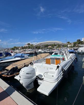 BENETEAU FLYER 850 - MERCURY 350 cv