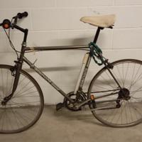 Bicicletta Bianchi Stelvio
