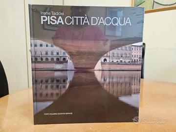 Pisa città d'acqua di Irene Taddei