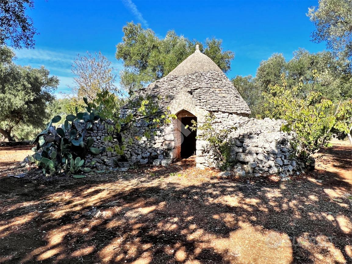 RUSTICO A CEGLIE MESSAPICA - Vista 3