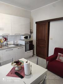 Trilocale con due camere PalaAlpitour/ Santa Rita