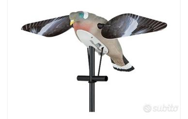 Colombaccio ali rotanti