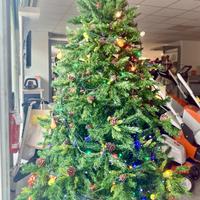 Alberi di Natale a META' PREZZO