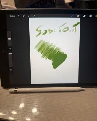 Ipad 8 gen + apple pencil ambedue vers lithning