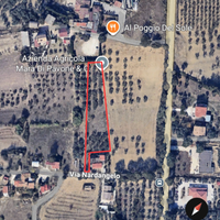 Terreno agricolo con 40 piante di ulivi secolari
