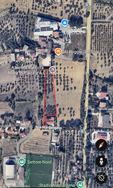 Terreno agricolo con 40 piante di ulivi secolari