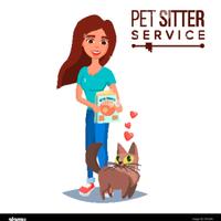 Cat sitter - rivoli (to) e dintorni