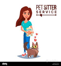 Cat sitter - rivoli (to) e dintorni