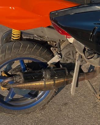 marmitta stage 6 pro replica