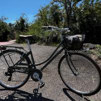 Bicicletta Di Bartolomei