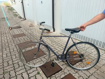 Bici da uomo