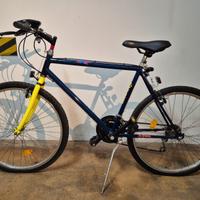 BICICLETTA DA RAGAZZO