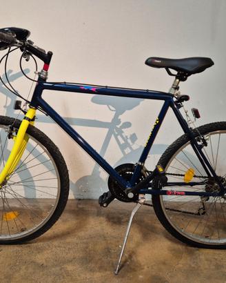 BICICLETTA DA RAGAZZO