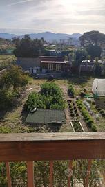 Terreno pianeggiante con deposito attrezzi