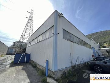 Ampio Magazzino D/7 con Uffici, Soppalco e