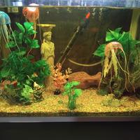 Acquario Completo + in Omaggio Mobiletto