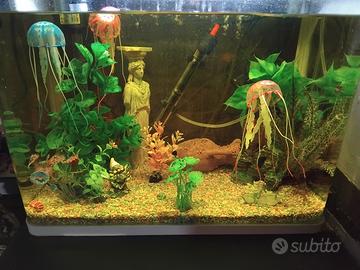 Acquario Completo + in Omaggio Mobiletto