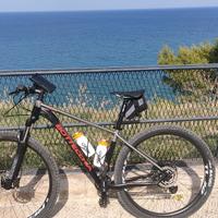 Mountain bike Bottecchia Gavia 29