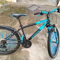 BICI ROCK RIDER