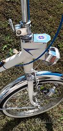 GRAZIELLA  CARNIELLI COME NUOVA