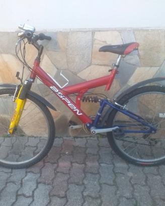 Bicicletta mountain bike