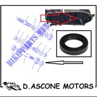PARAOLIO TRASMISSIONE XMAX 125 250