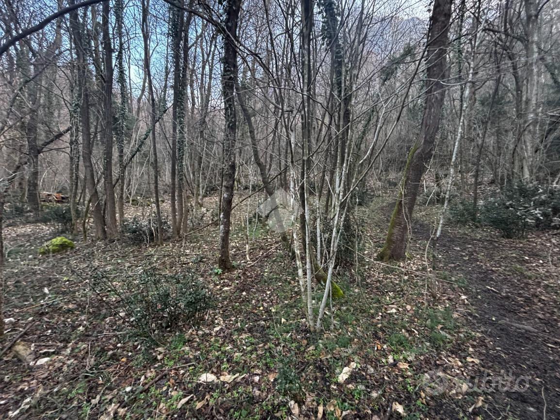 TER. AGRICOLO A LIERNA - Vista 4
